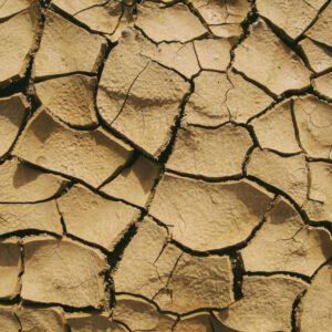 Wasserschreck 3000 – Unser bester Lehmboden